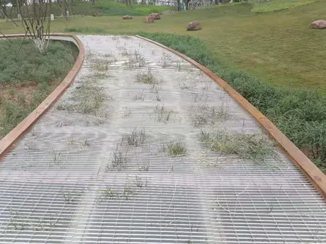 Jalur Taman 1
