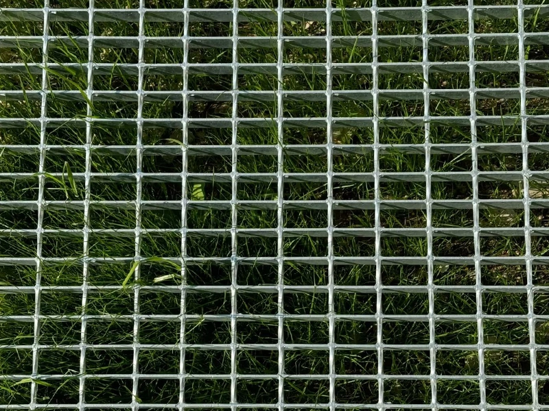 kebun keluarga